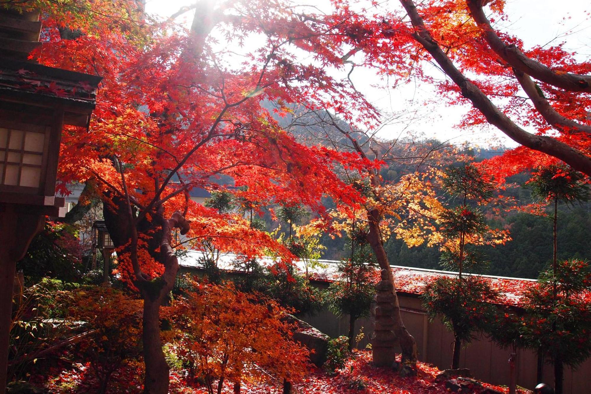 Ryokan Nenrinbo Kioto Exterior foto