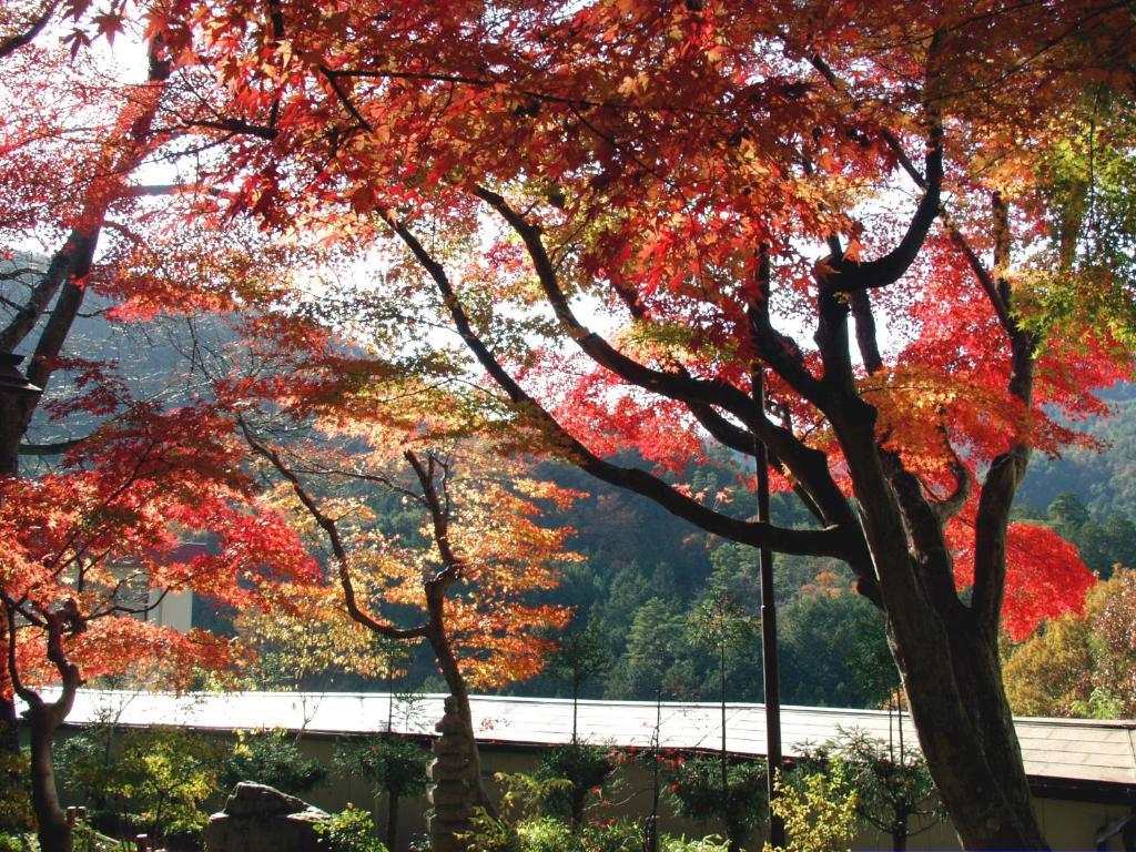 Ryokan Nenrinbo Kioto Exterior foto