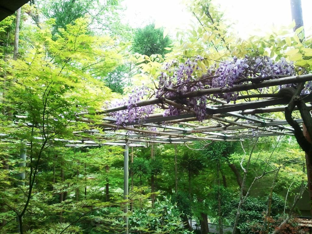 Ryokan Nenrinbo Kioto Exterior foto